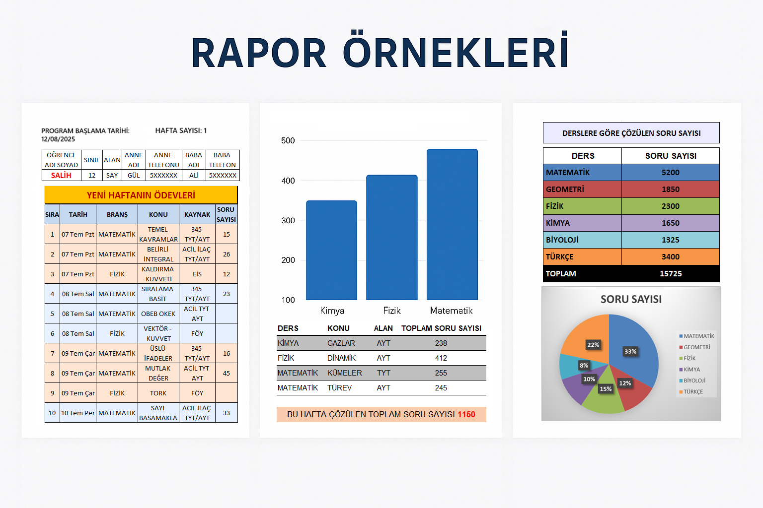 Rapor 1